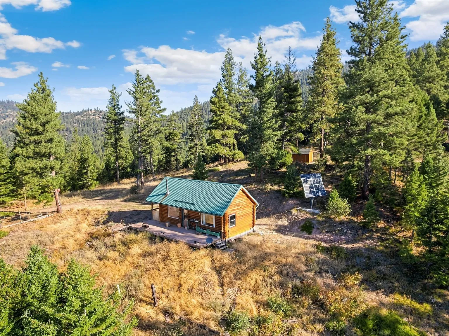 An aerial view of the cabin and shed surrounded by pine forest
