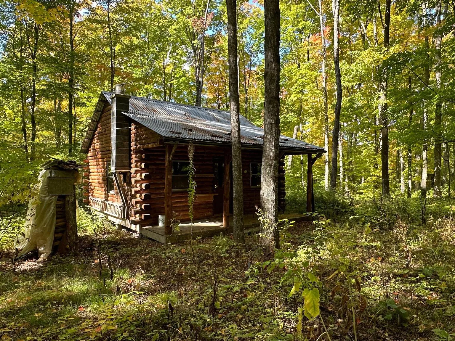 The cabin from the side, stone chimney base and woods all around