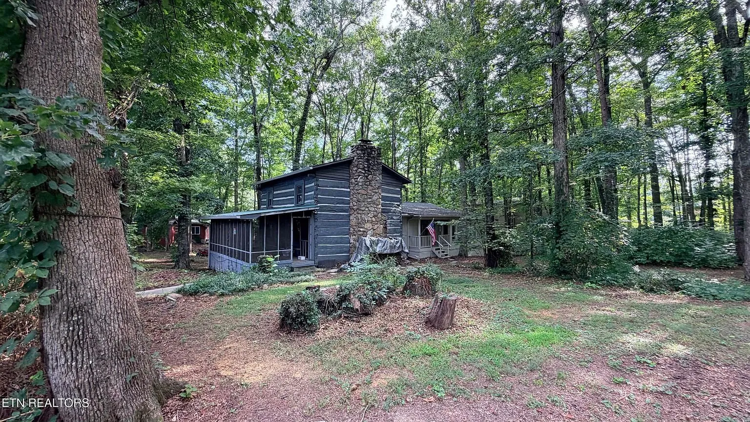 The house through the trees with its screened porch and chimney