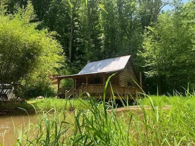 The cabin from the creek side, tall grass in the foreground