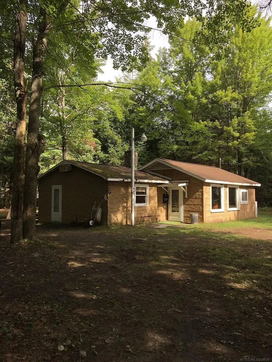 The cabin and its shed under the trees in summer