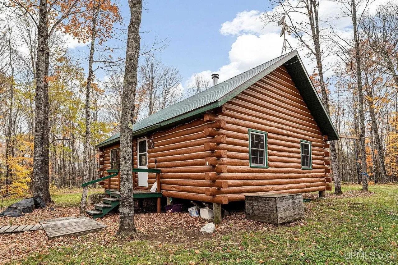 The cabin from the corner, log walls and green trim under autumn birches