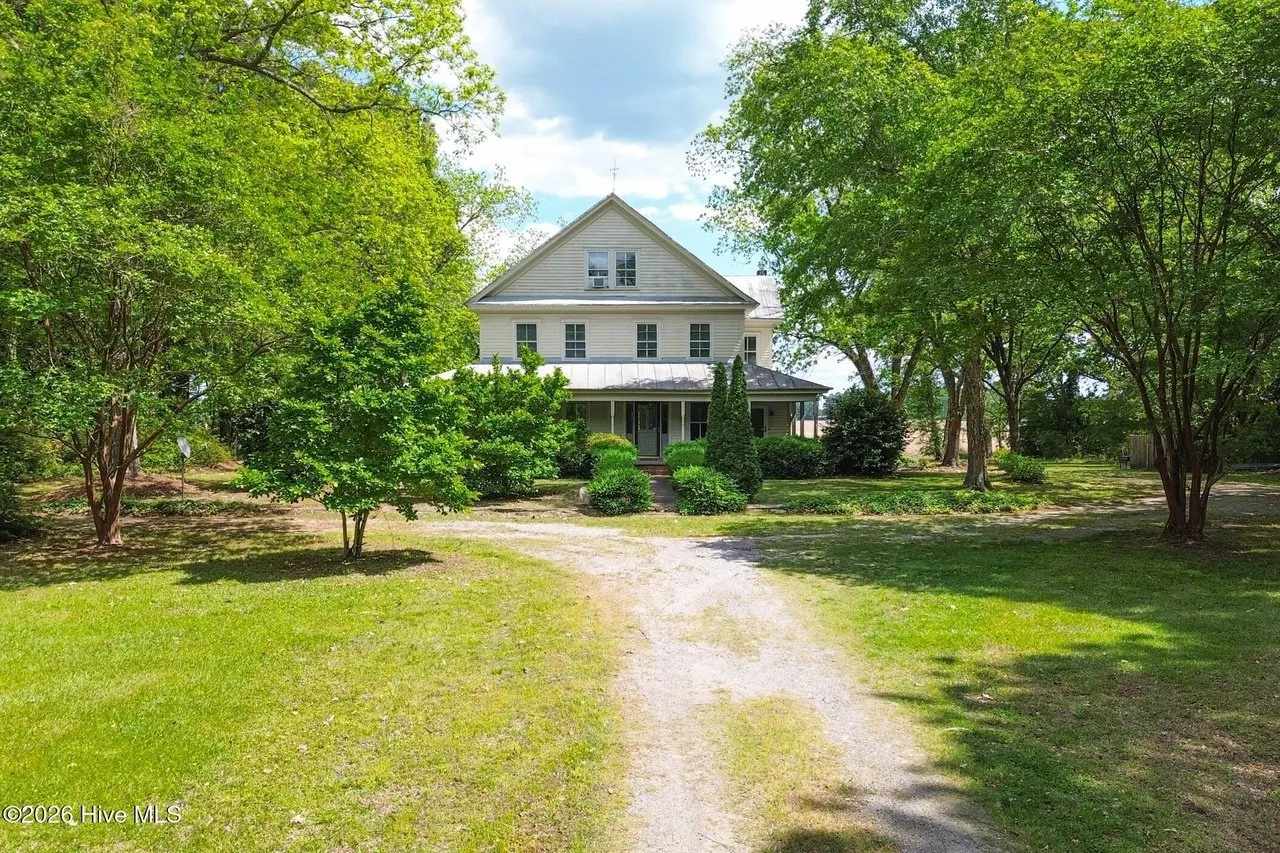 The approach: the dirt drive coming up to the house between mature trees