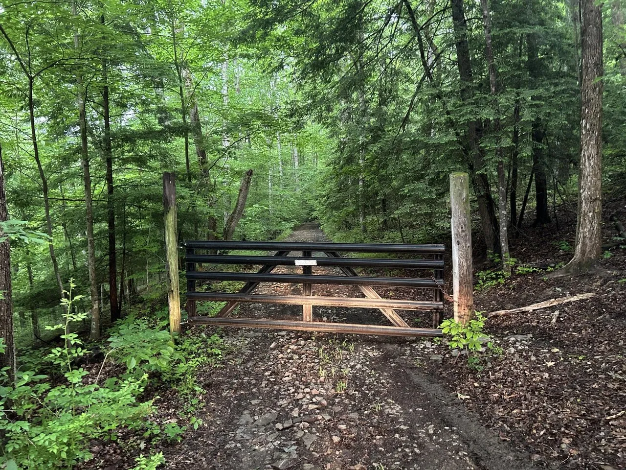 The gated entrance at the head of the private lane, hardwoods on both sides