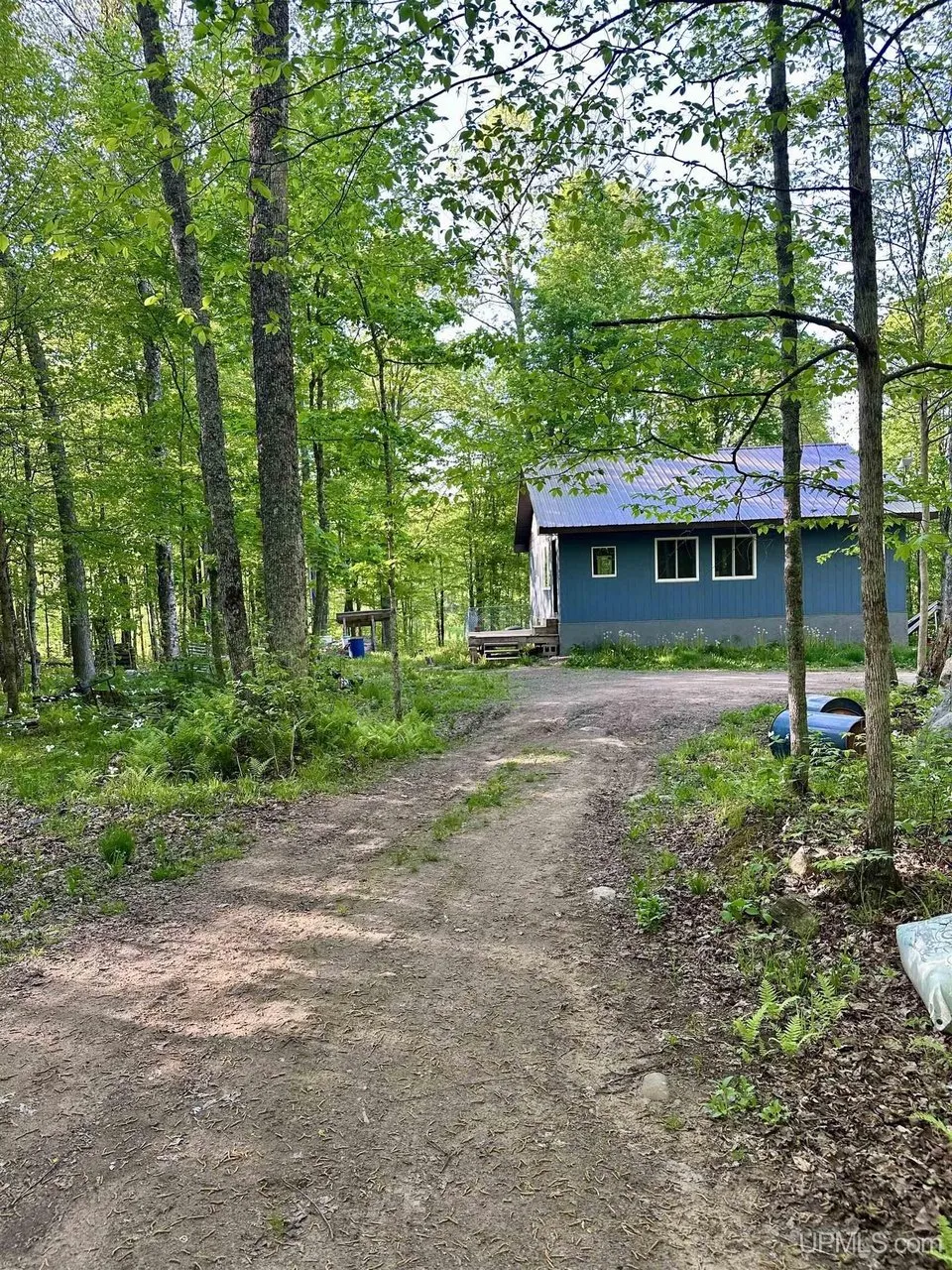 The two-track through the hardwoods with the cabin at the end