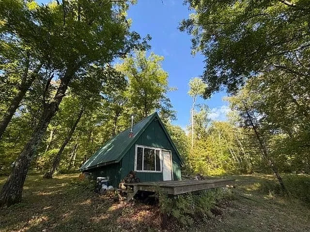 The A-frame with its front door and window in the trees