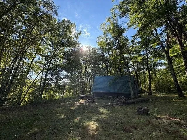 The A-frame from the side with the sun through the trees