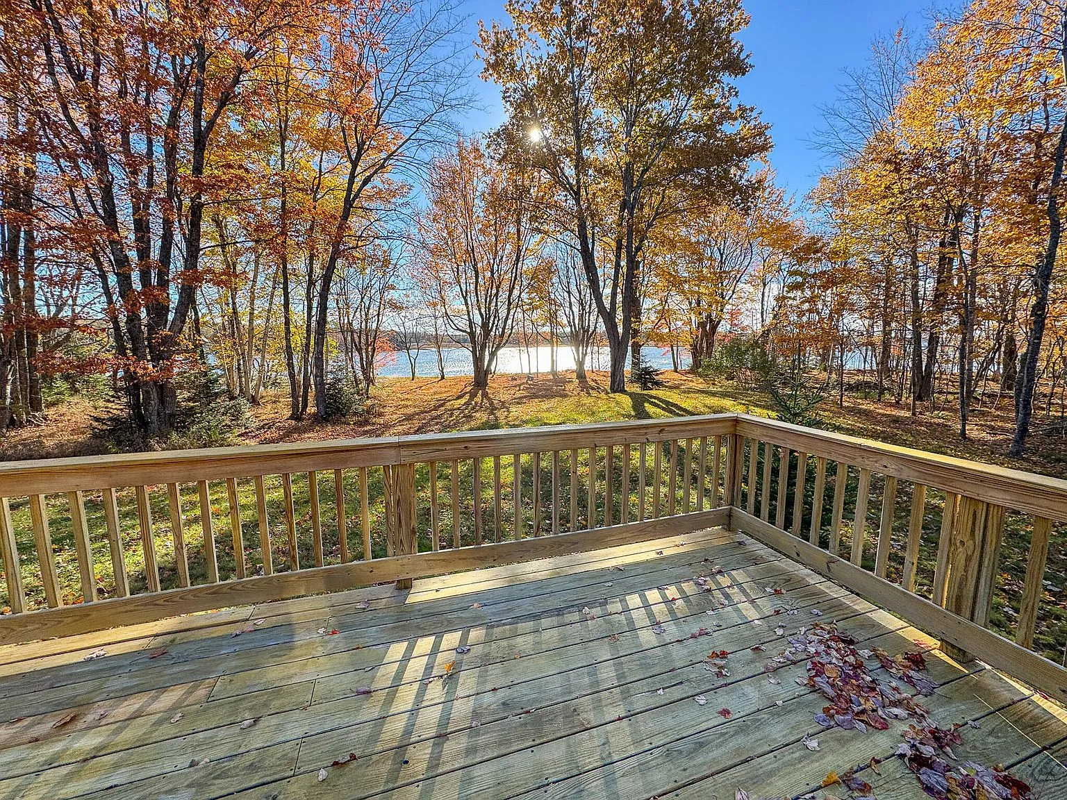 Sunlight through fall trees with a glimpse of the Harrington River beyond the lawn