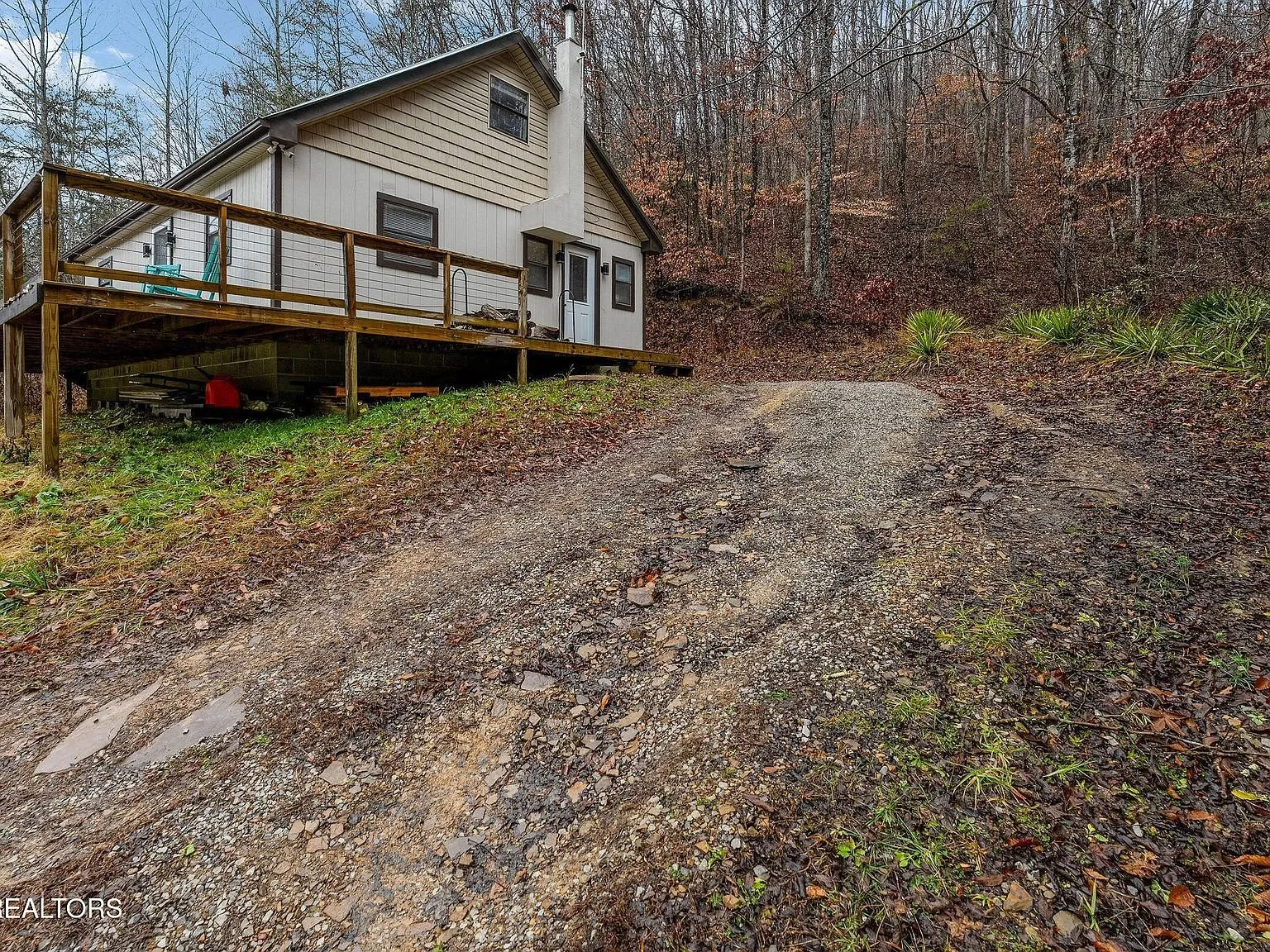The gravel driveway curving uphill through the trees toward the house