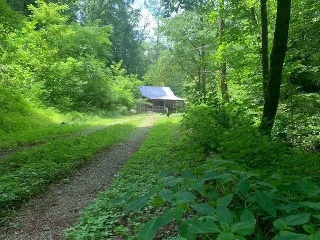 The grassy two-track through the woods with the cabin at the end
