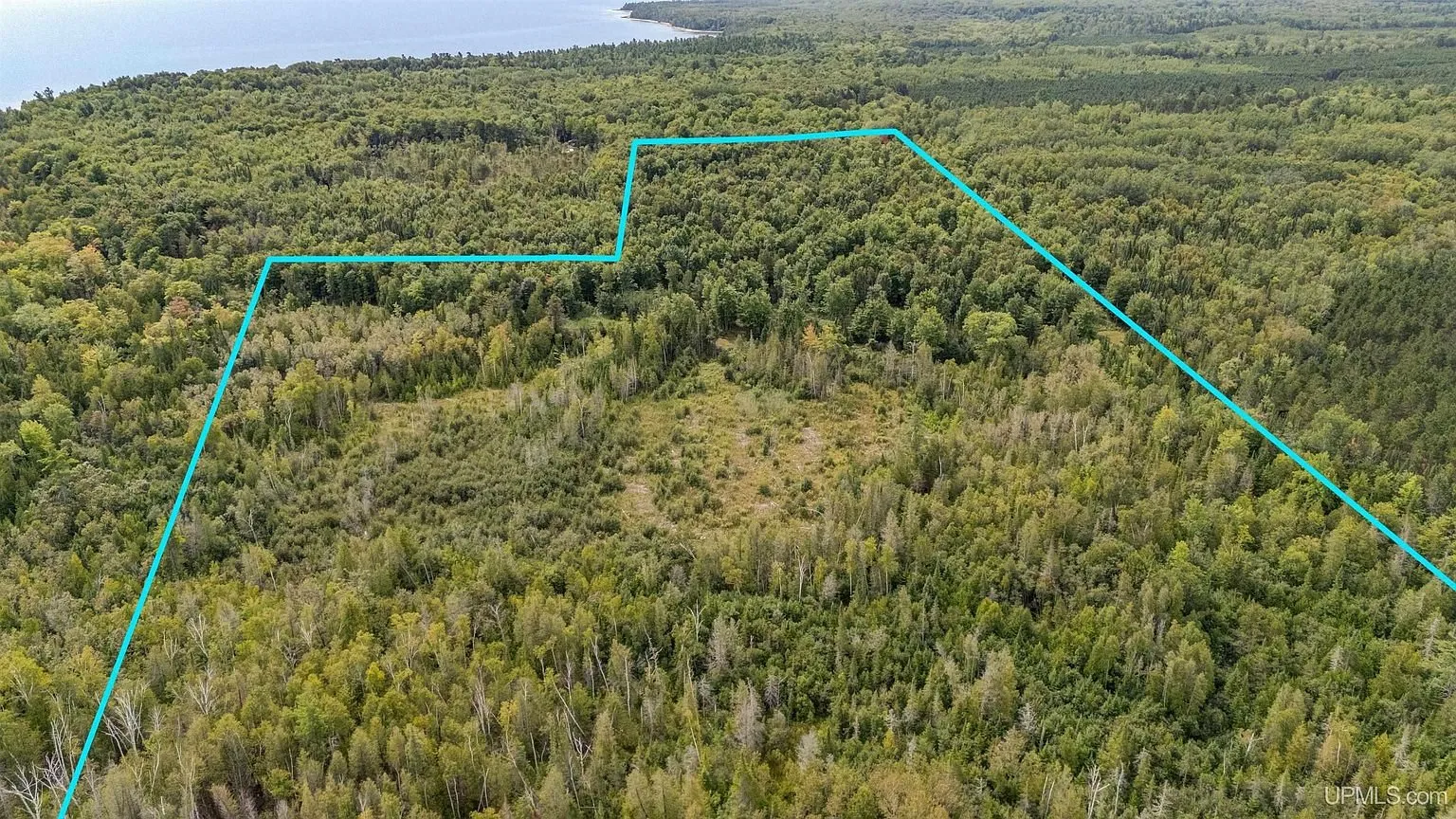 The 60-acre parcel outlined from the air looking inland