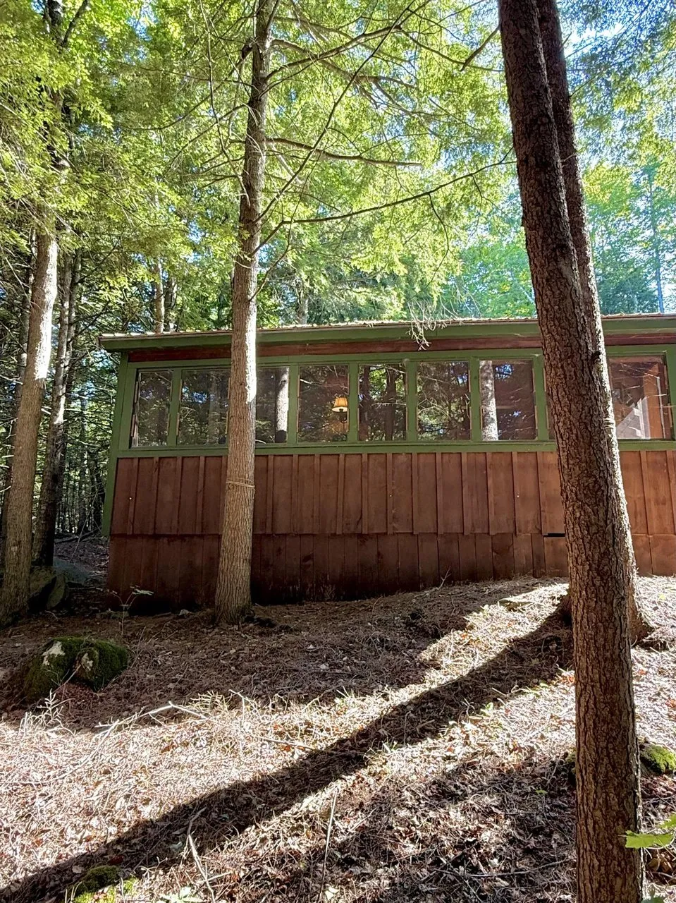 The camp through the trees from the side