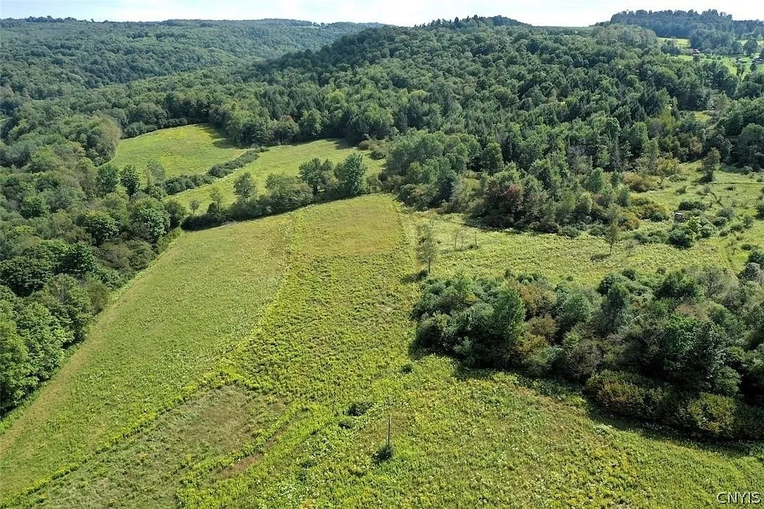 Overgrown fields between wood lines from the air