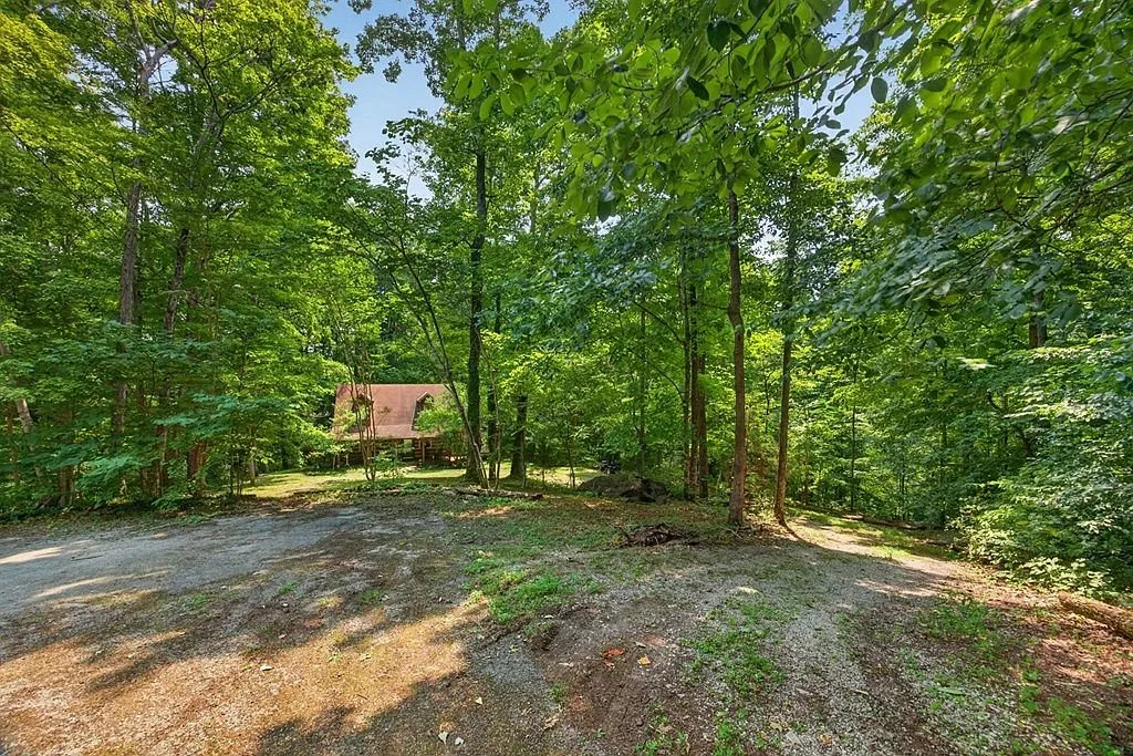 The circular gravel driveway winding through the trees toward the house