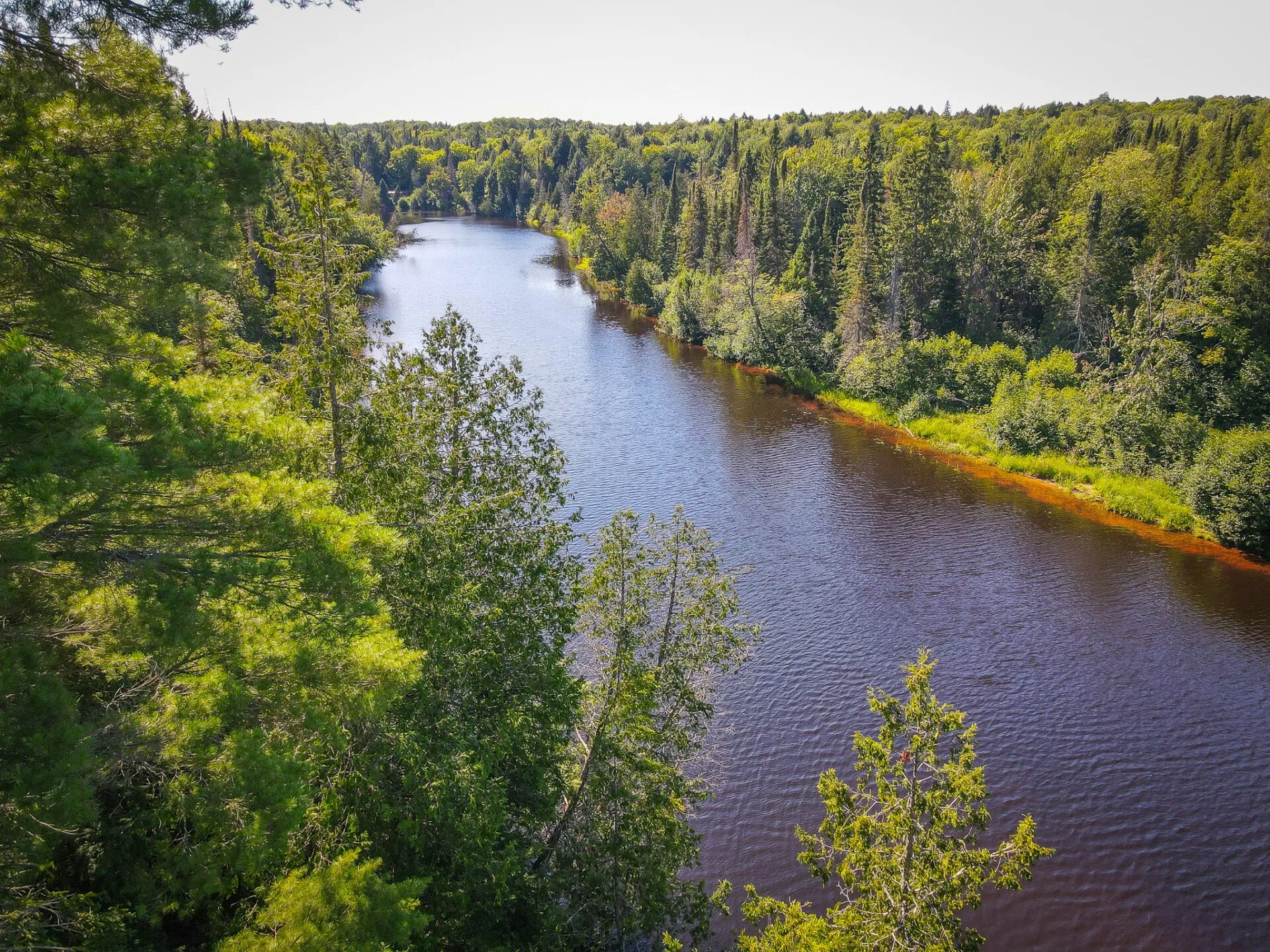 Aerial of the river bend beside the tract, forest to the horizon