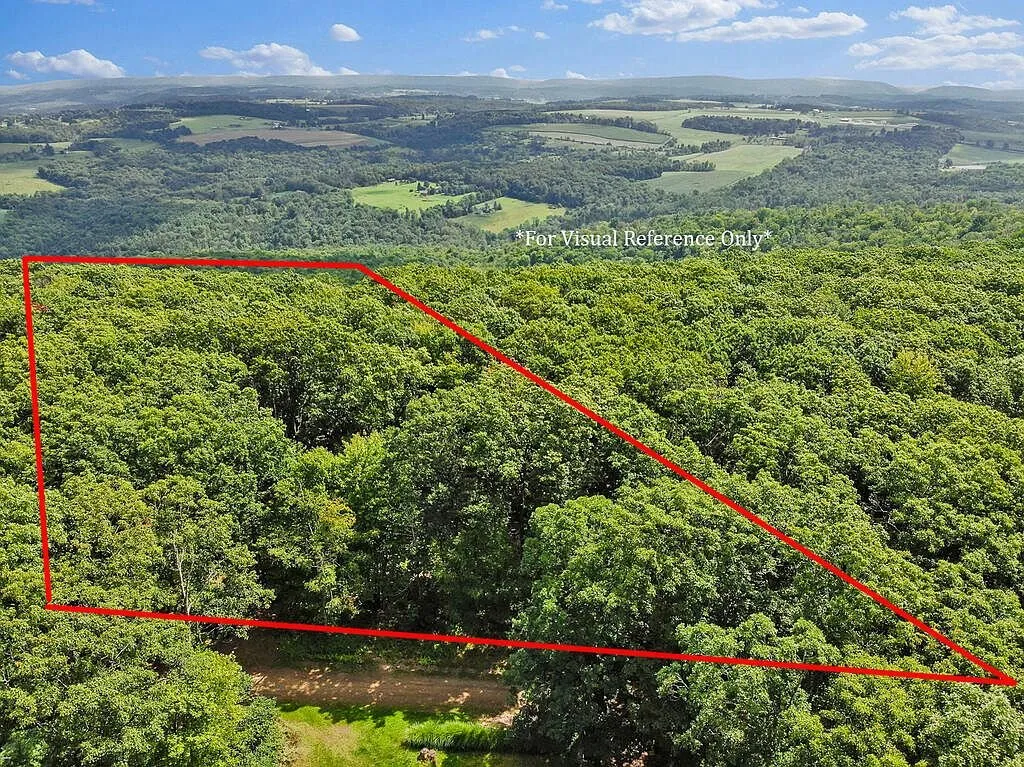 Aerial with the parcel outlined in red on the wooded hillside
