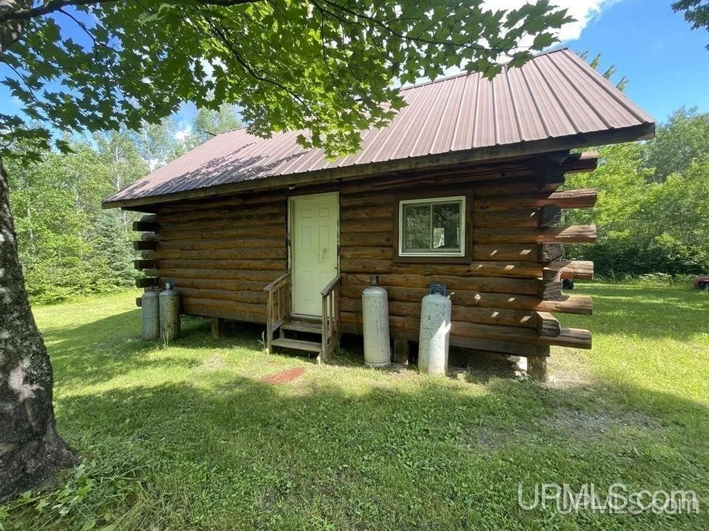 The side of the cabin with its entry door and propane tanks