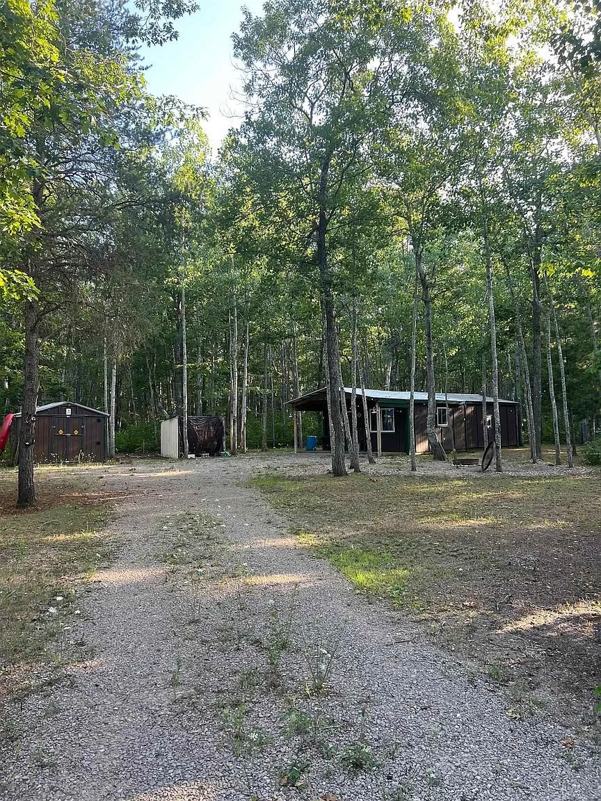 The gravel drive through the woods to the cabin