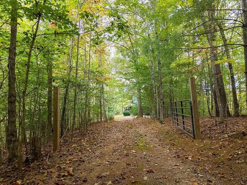 The gravel driveway running through the wooded lot toward the cabin