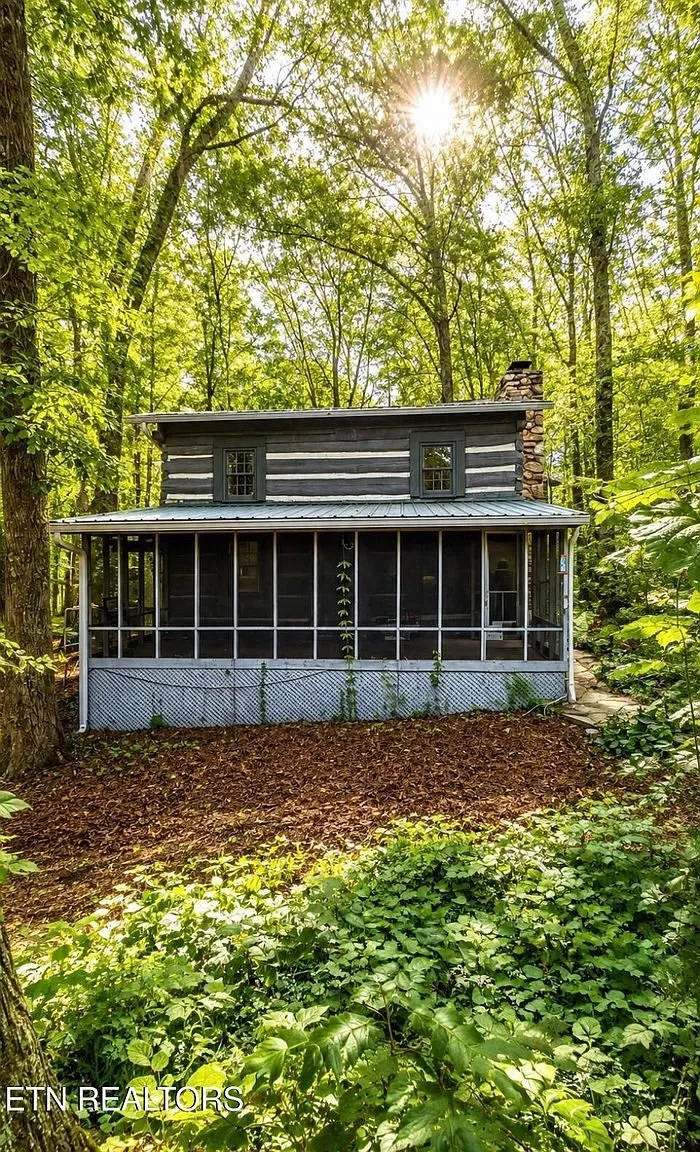 The end of the screened porch through the undergrowth