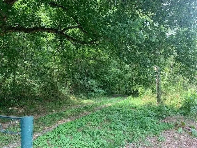 The track into the hollow between the trees, a blue gate post at the left