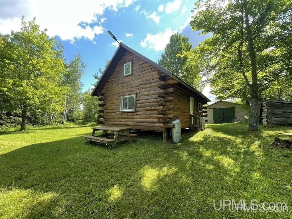 The cabin and a picnic table under the trees