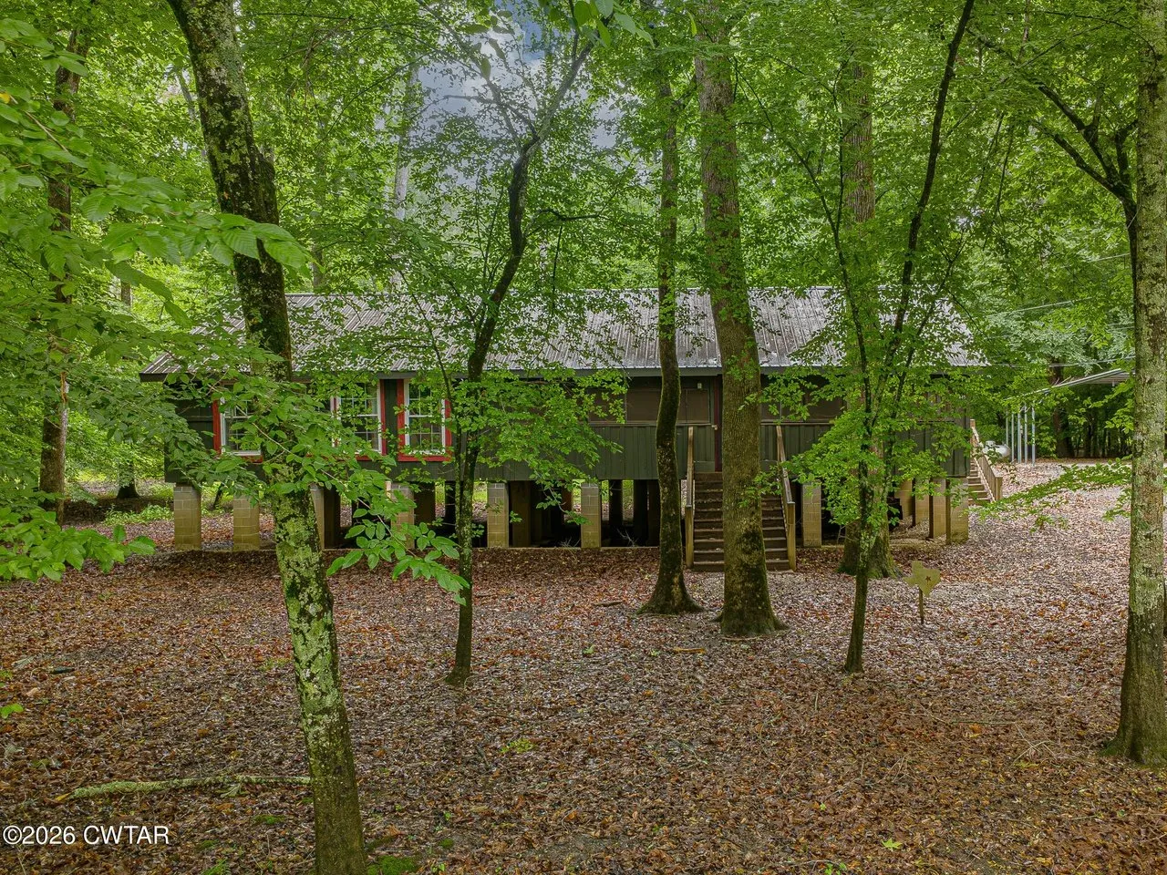 The cabin seen through the trees, the full length of it raised on pilings
