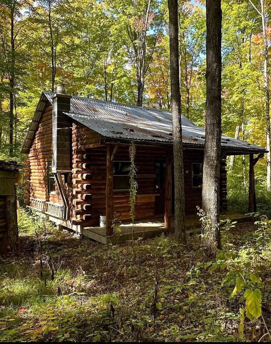 The cabin from below through the trees, porch running along the front