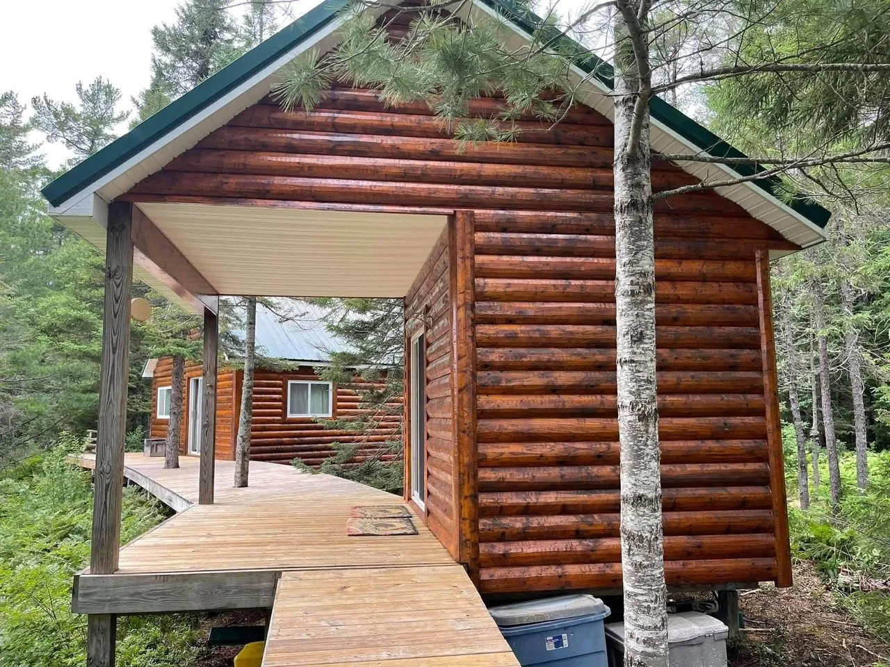 The cabin and its boardwalk seen from below among the pines