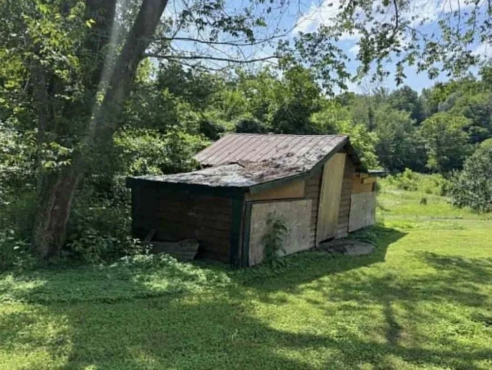 A small storage shed in overgrown grass near the tree line