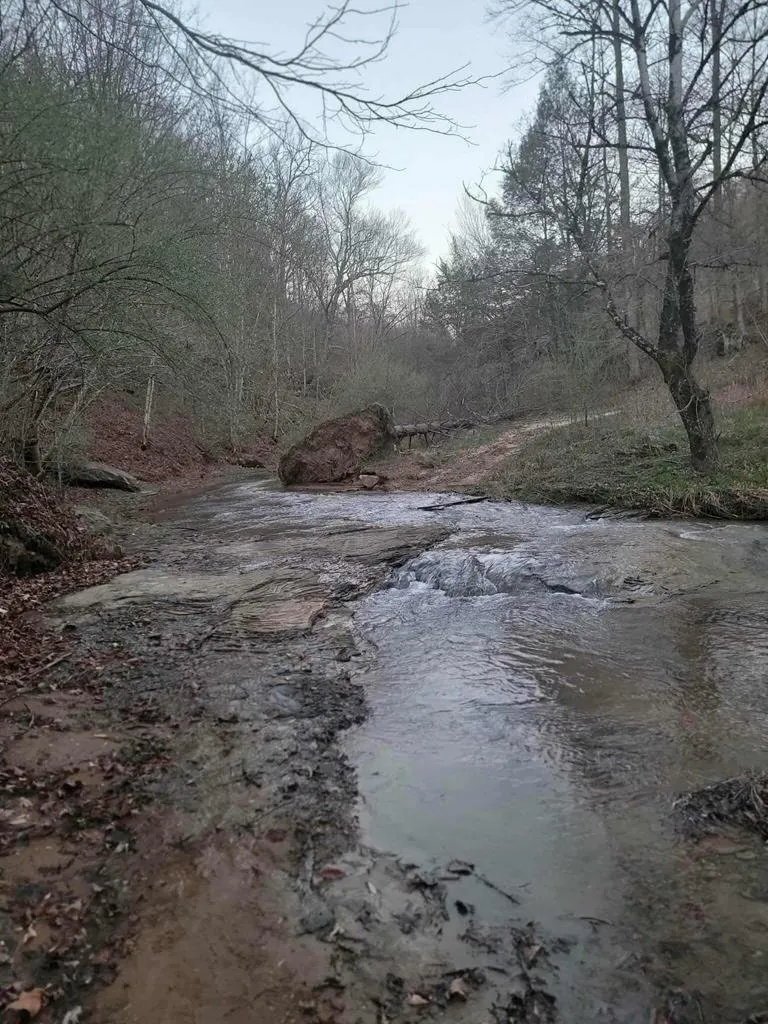 The driveway where it fords the creek, gravel running straight into the water