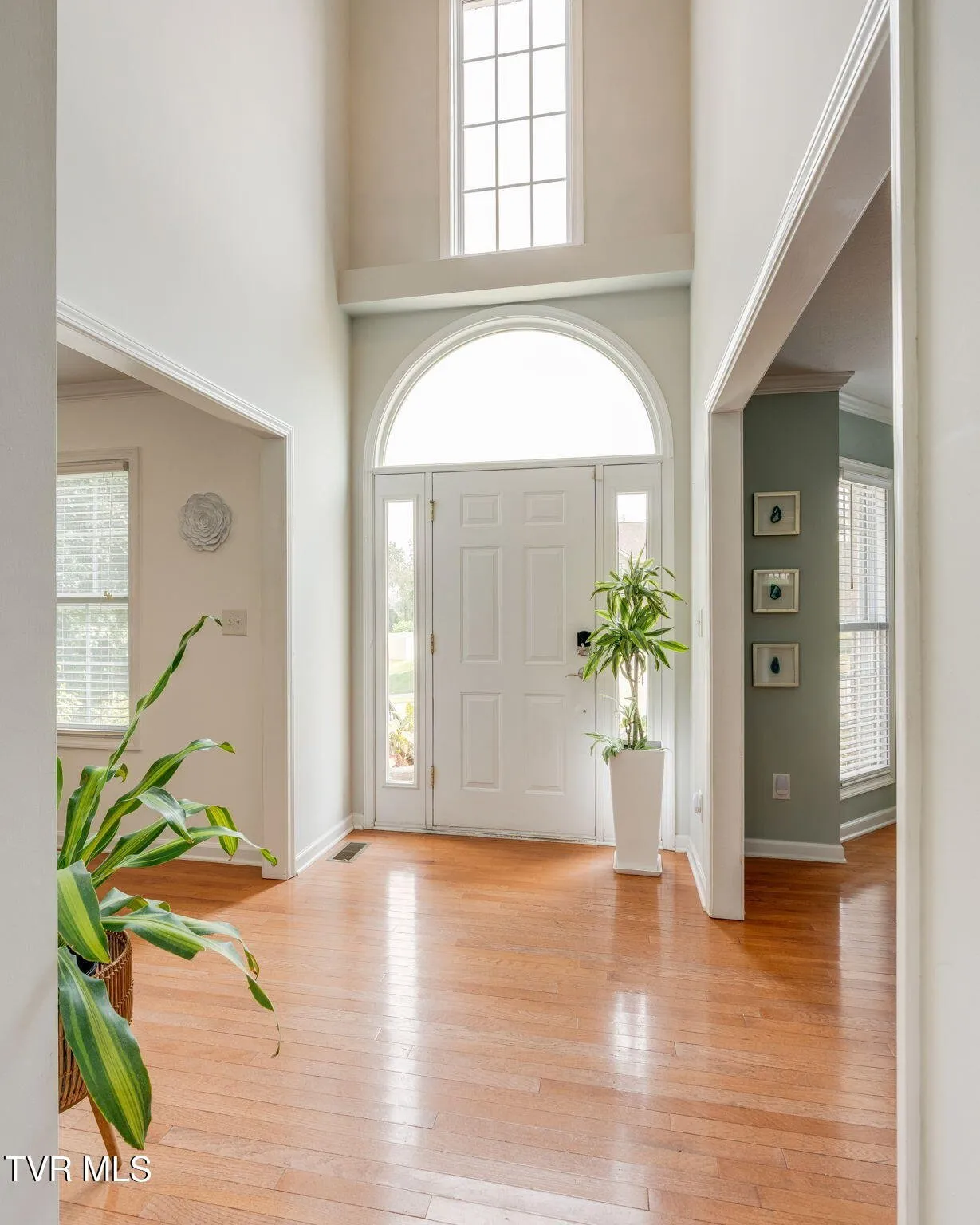 The foyer looking through to the back of the house with hardwood running throughout