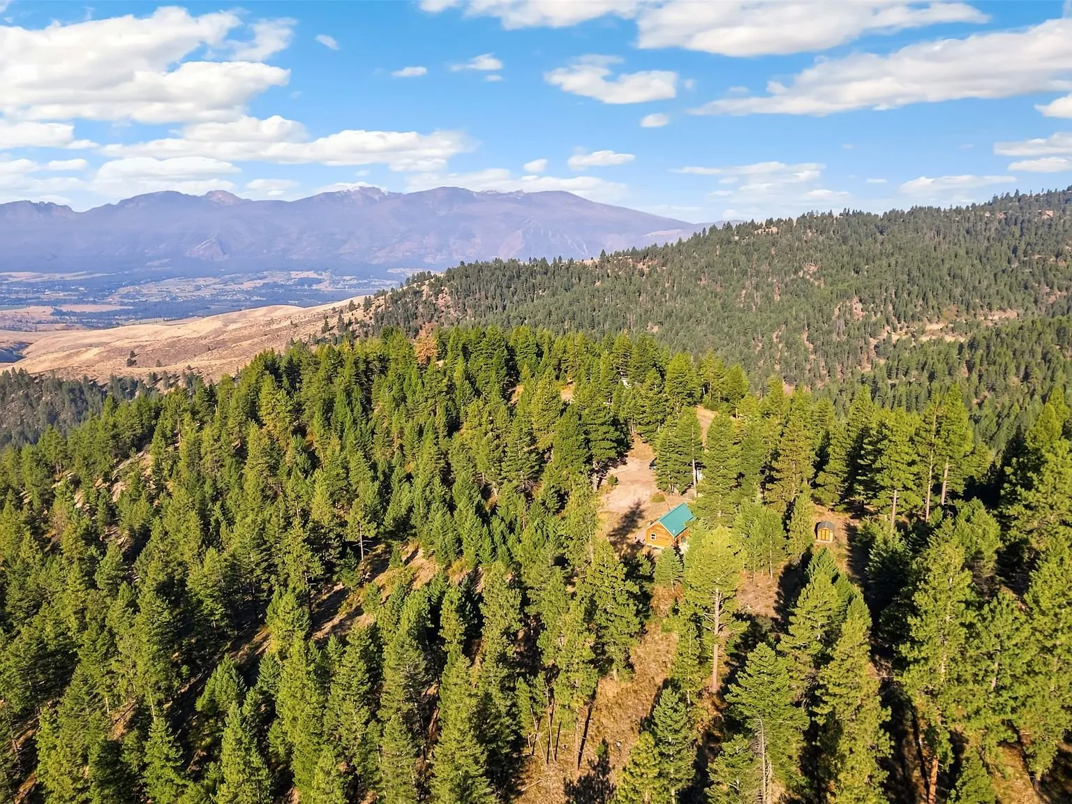 An aerial view of the wooded hillside with a clearing visible in the distance