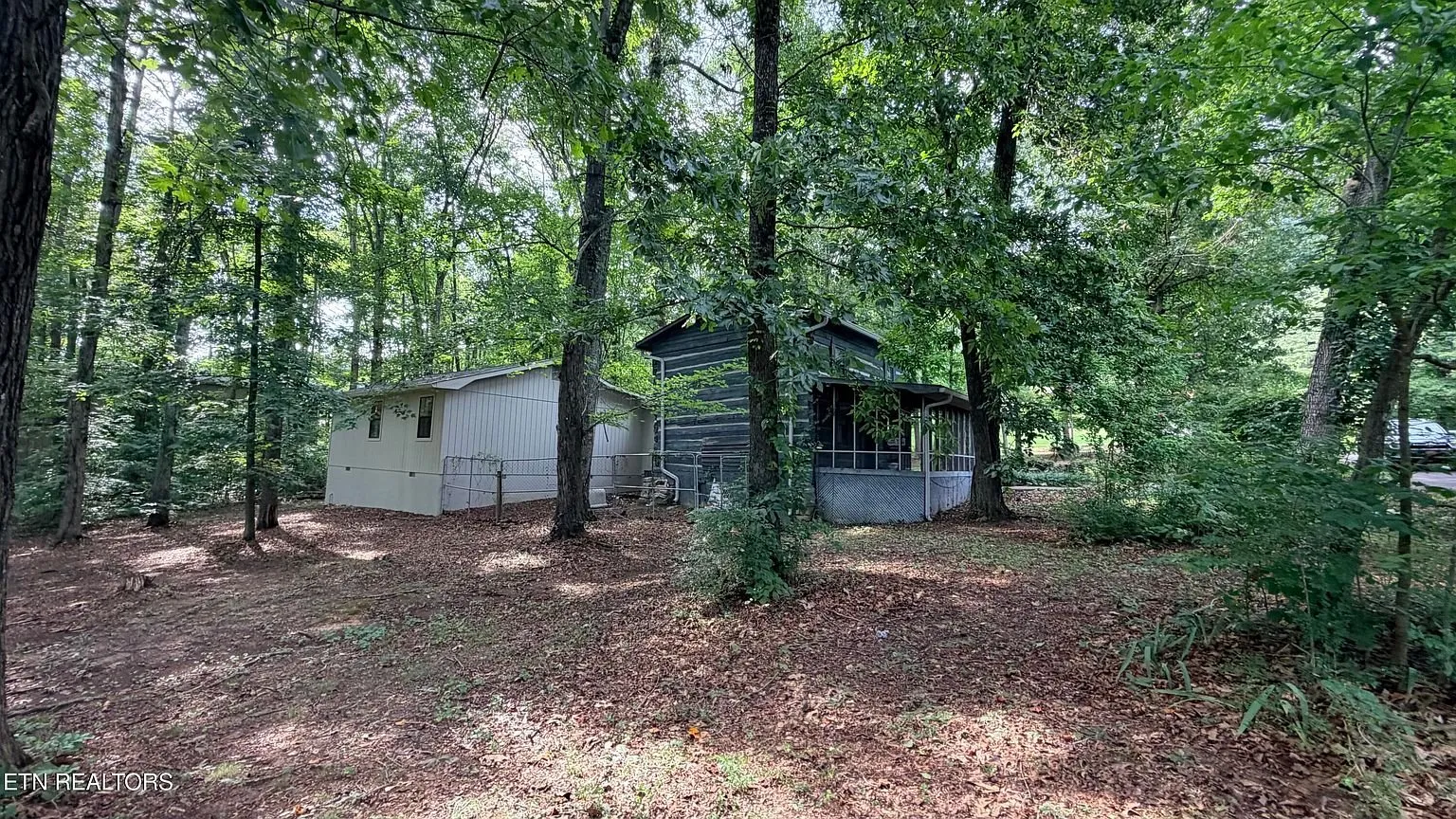 The house from the side yard among the hardwoods