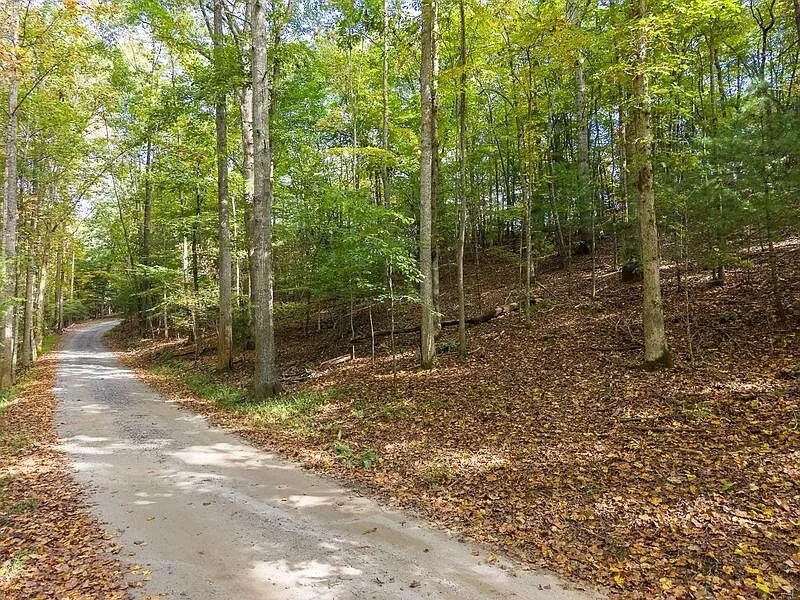 A gravel path through the trees leading onto the property