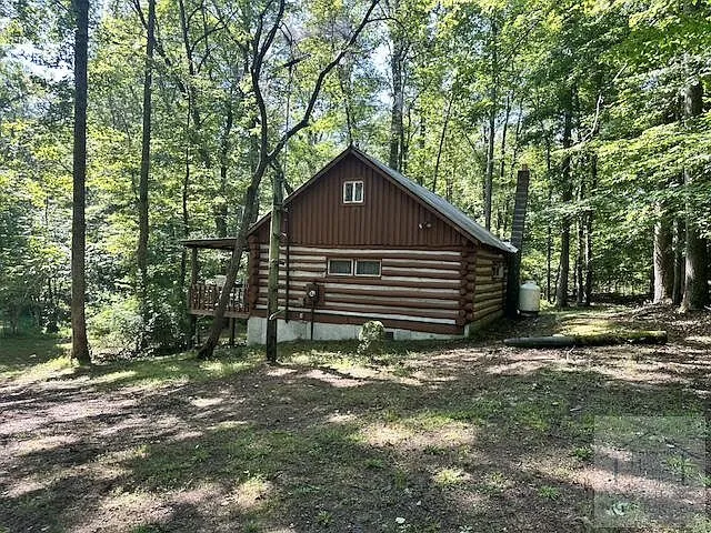 The back of the cabin from the woods