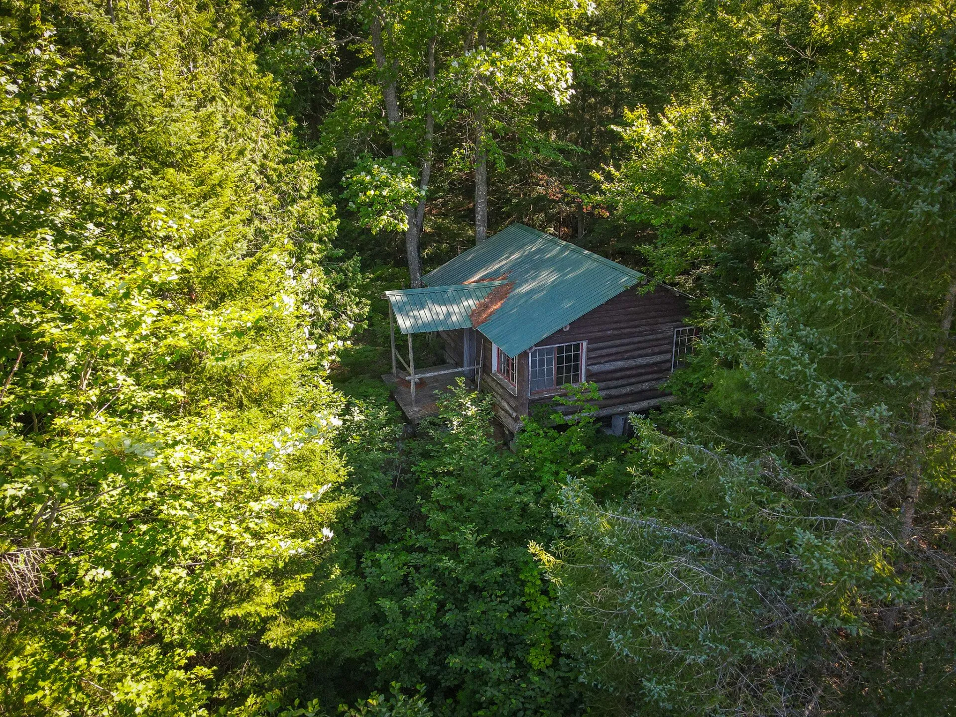 Aerial of a cabin's green metal roof in the forest canopy