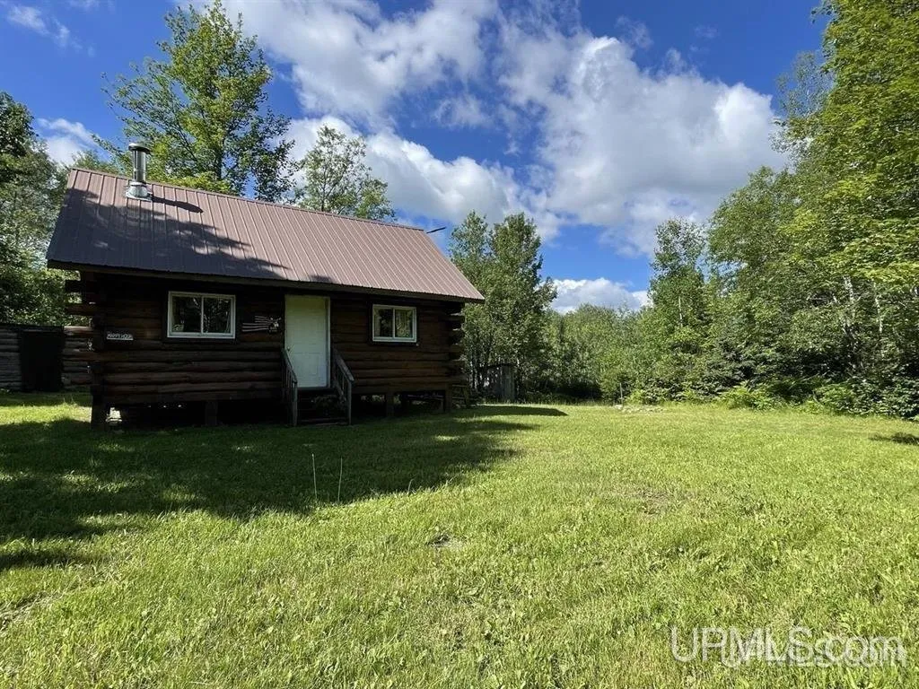 The cabin from across the clearing with the treeline behind