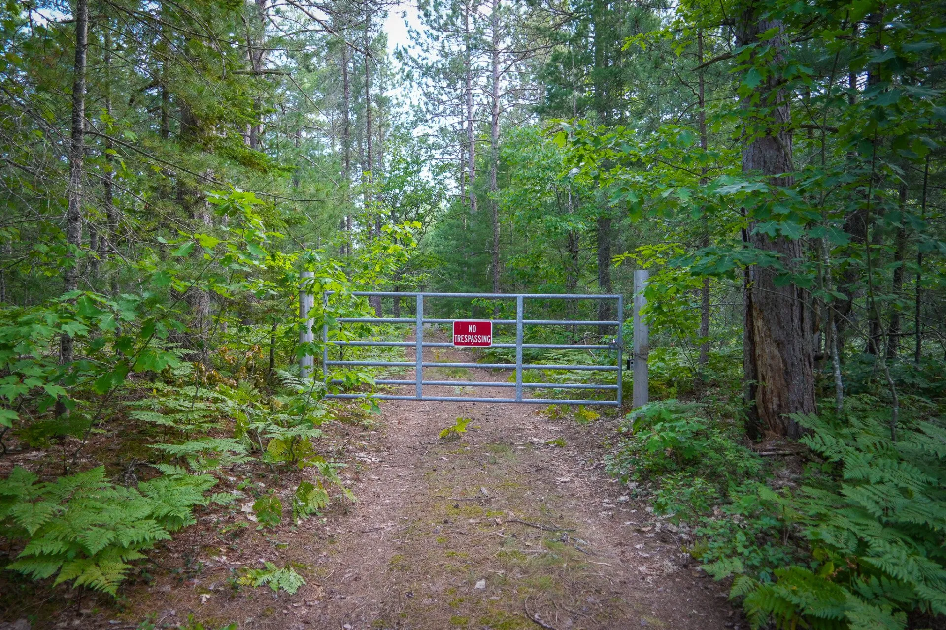 The gate at the head of the two-track into the property