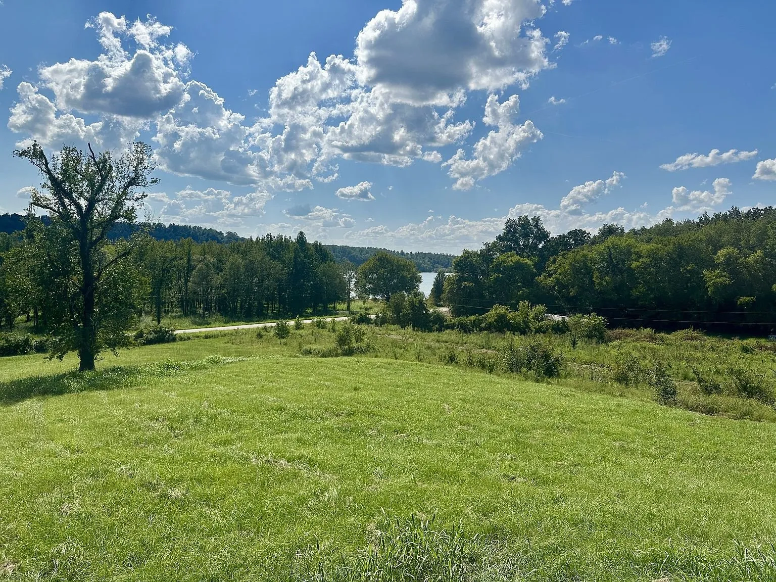 The cleared field with a lone tree and the water beyond the far woods