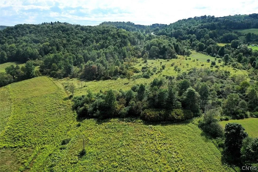 The upper fields and the hedgerows from the air