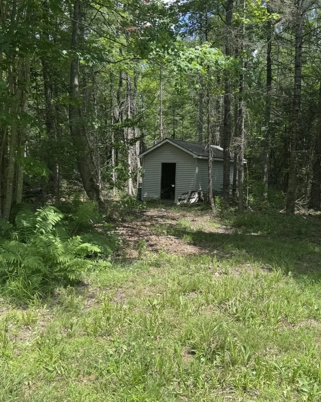 A shed in the trees at the edge of the lawn