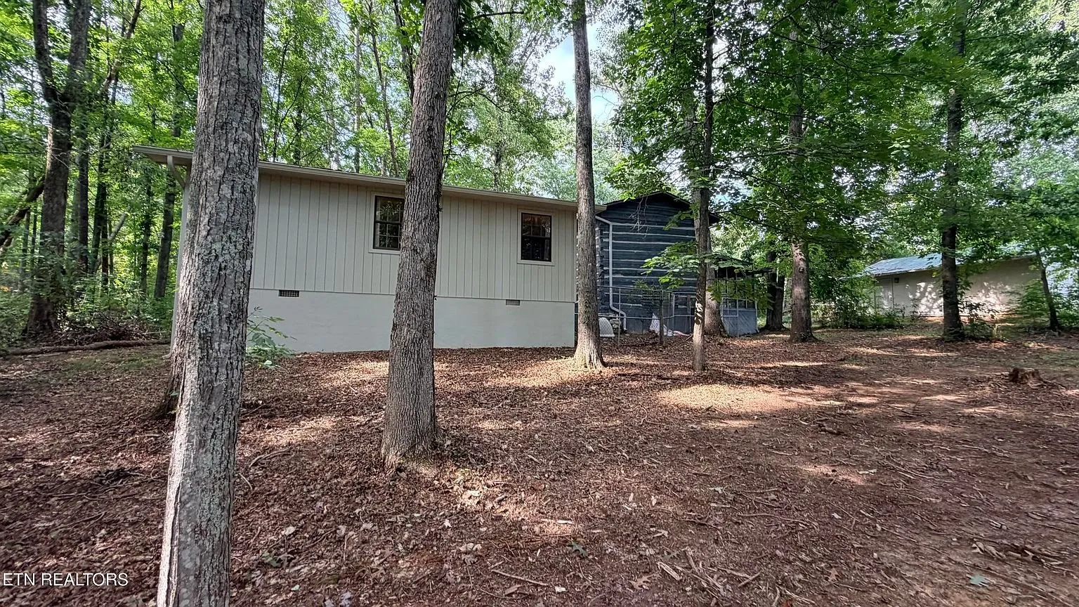 The rear of the house from the woods