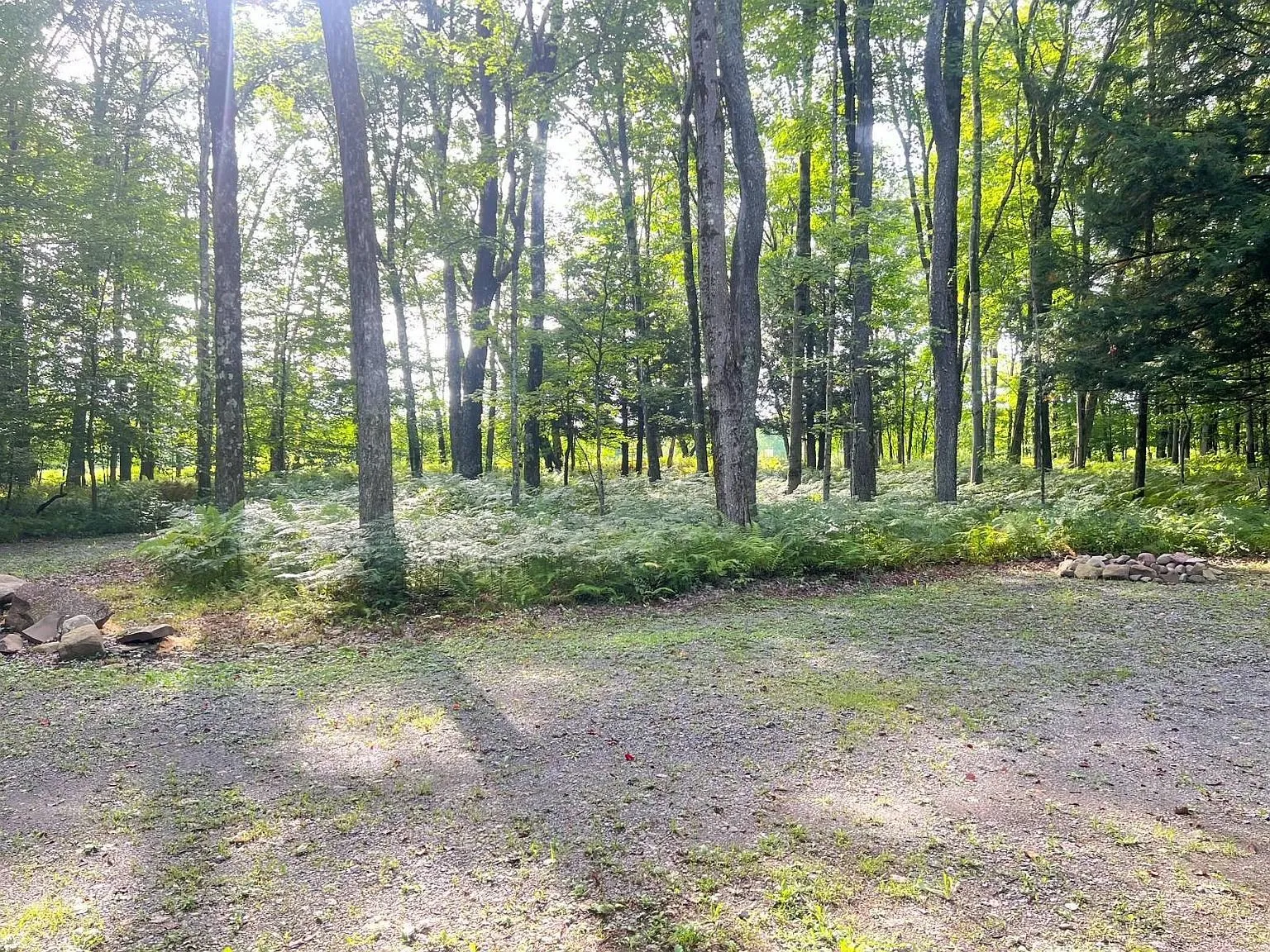 The cleared parking area under the trees near the cabin