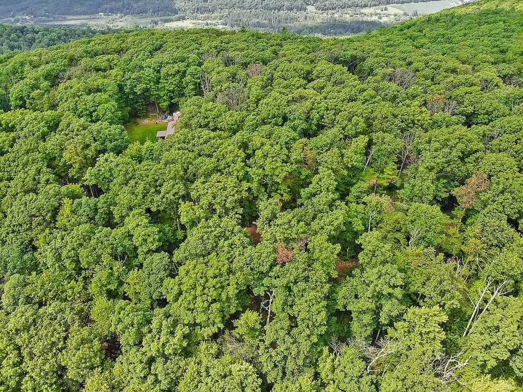 Aerial across the hardwood canopy toward the hills