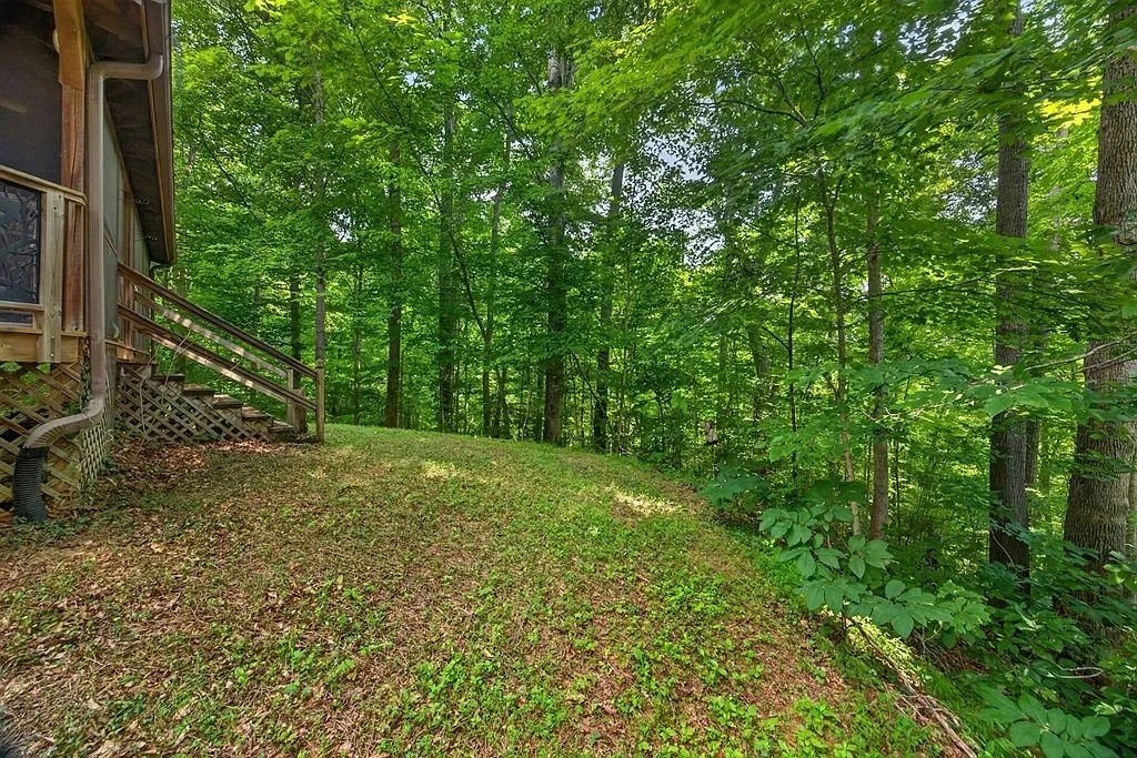 A wooded slope on the property with a stairway built into the hillside