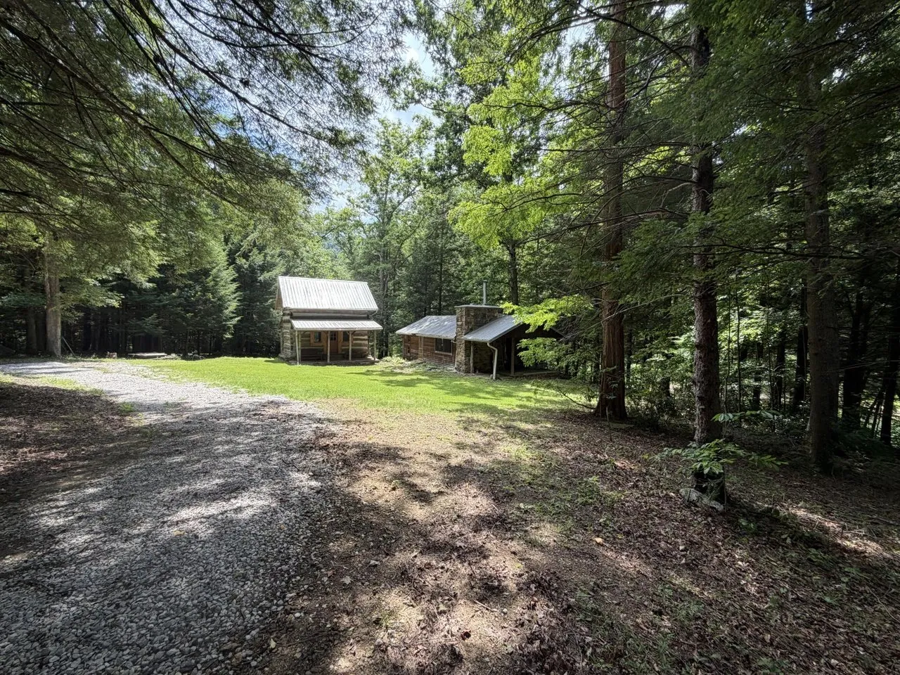 The lane arriving at the cabins, one of them visible through the trees