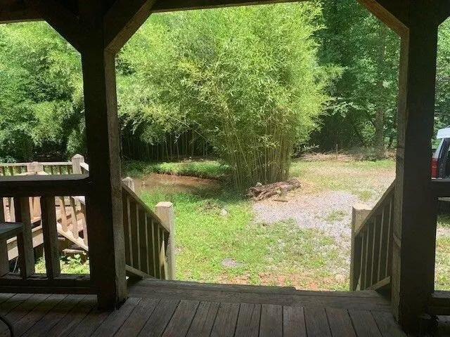 Looking out from the porch steps at the gravel turnaround and the bamboo