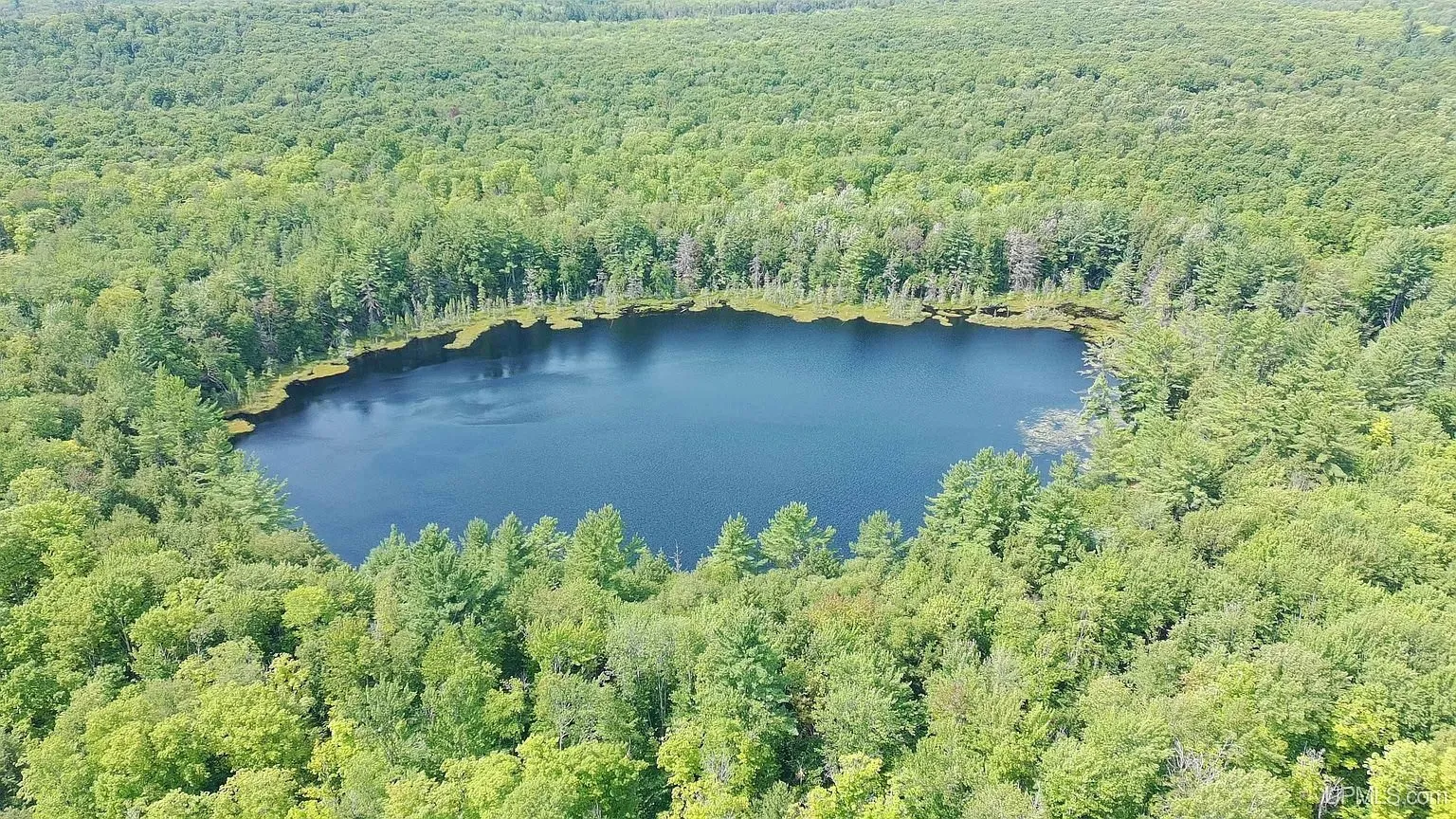Aerial of Hidden Lake ringed by forest