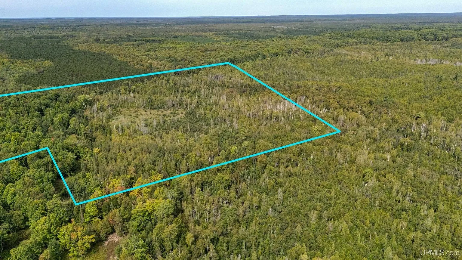 The 48-acre parcel outlined from the air with the open marsh in the middle